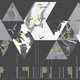 Image for article titled How Buckminster Fuller's Dymaxion Map Tessellated The World